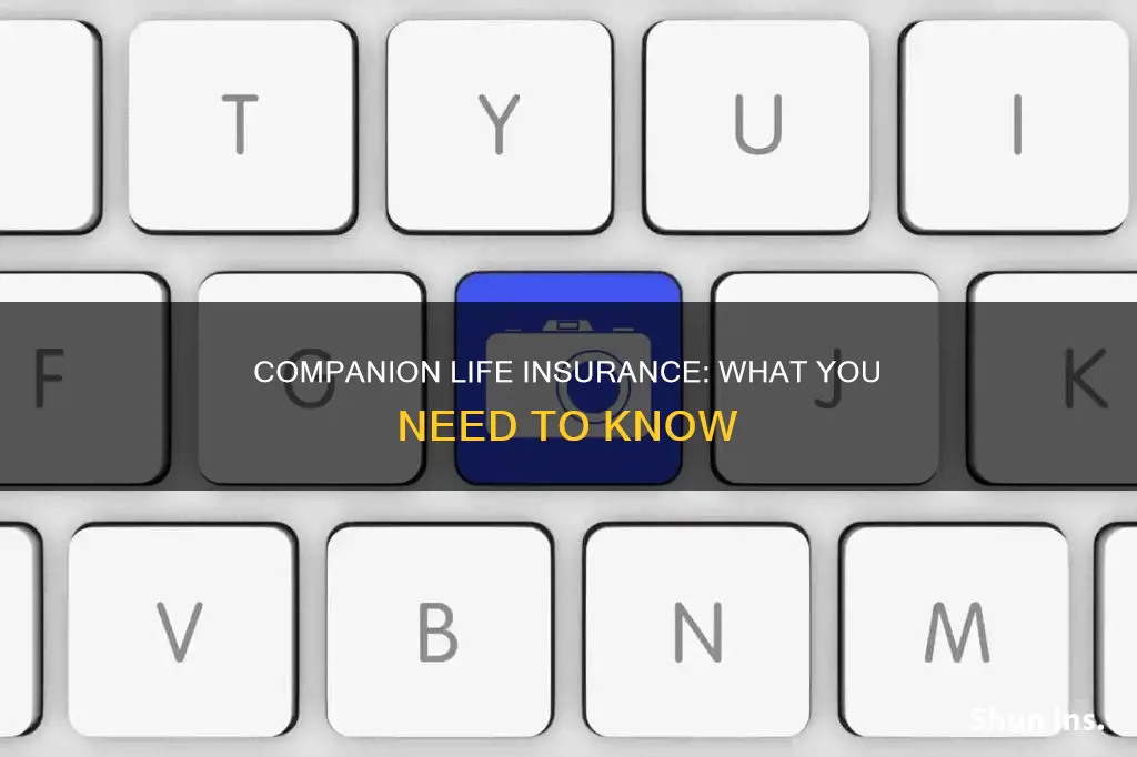 what is companion life insurance