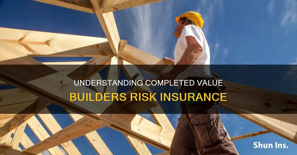 what is completed value builders risk insurance