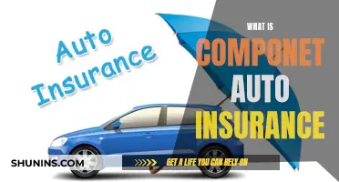 Understanding Component Auto Insurance: What You Need to Know