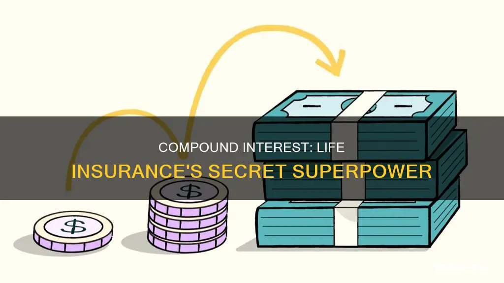 what is compound interest in life insurance