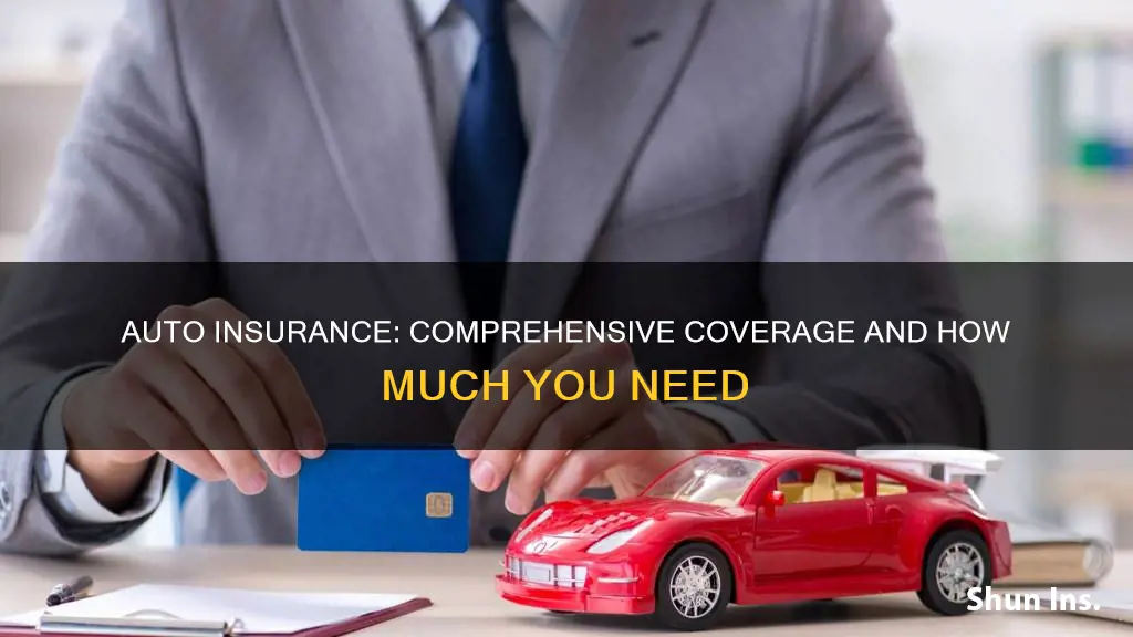 what is comprehensive auto insurance how much should you carry