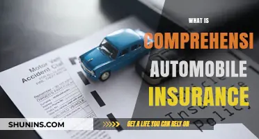 Understanding Comprehensive Automobile Insurance Coverage