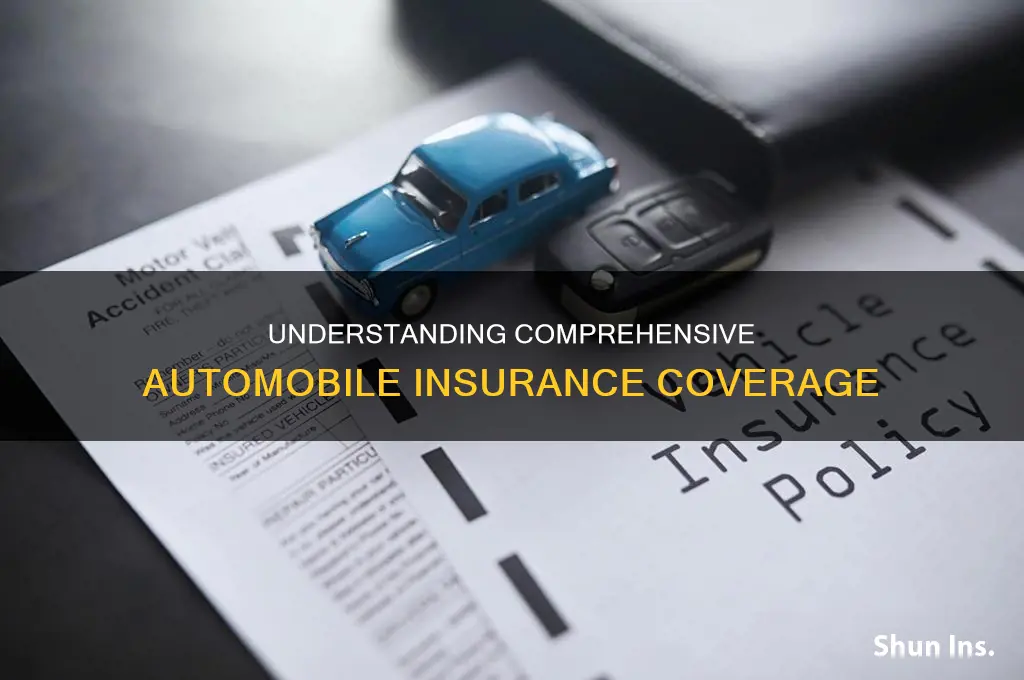 what is comprehensive automobile insurance