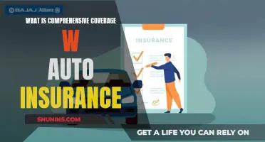 Understanding Comprehensive Coverage with Auto Insurance