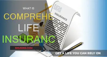 Life Insurance Simplified: Comprehensive Cover Explained