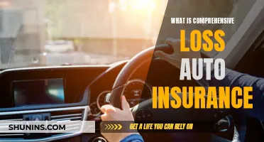 Understanding Comprehensive Loss Auto Insurance Coverage