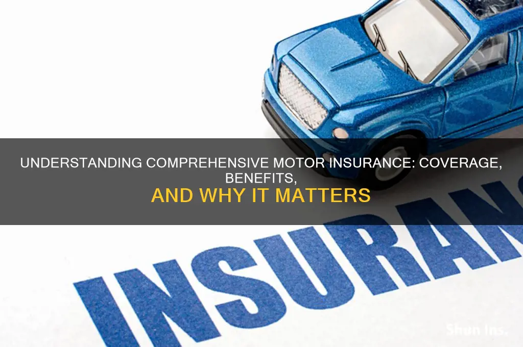 what is comprehensive motor insurance