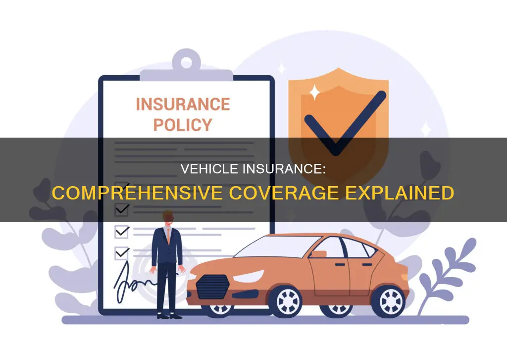 what is comprehensive vehicle insurance