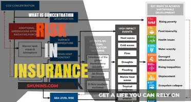 Concentration Risk: Insurance's Big Gamble