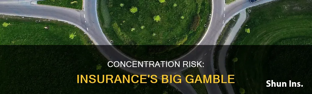 what is concentration risk in insurance