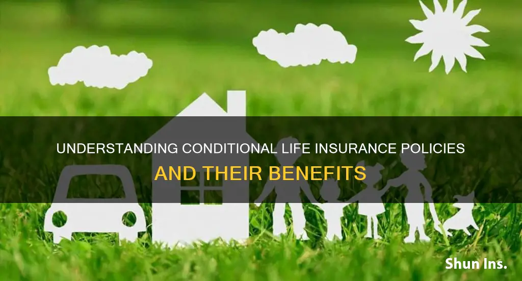 what is conditional life insurance