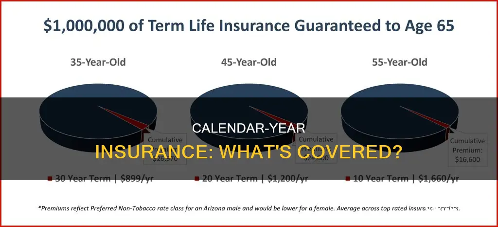 what is considered a calendar year insurance