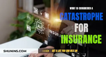 Catastrophe Insurance: What's Covered?