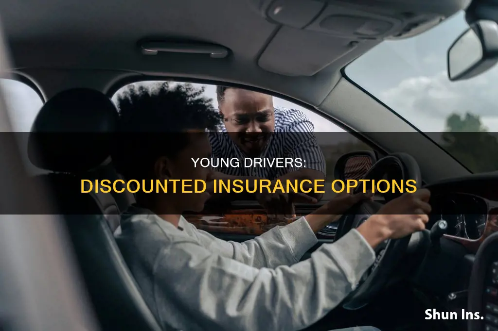 what is considered a discounted drivers insurance for young