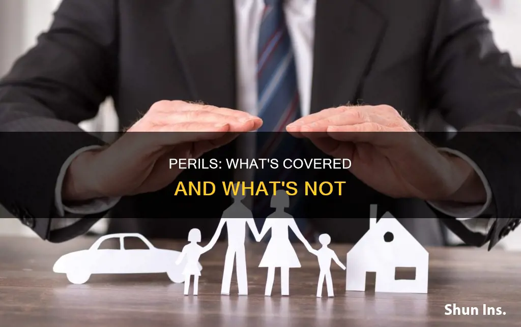 what is considered a peril in insurance