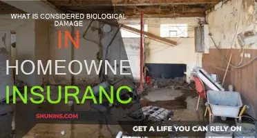 Understanding Biological Damage in Homeowners Insurance Policies