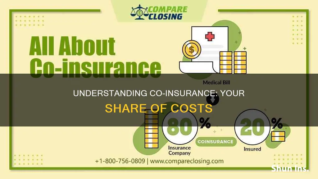 what is considered co-insurance