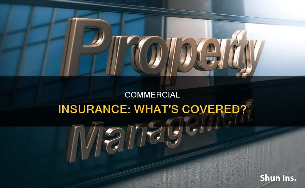 what is considered commerical insurance