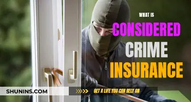 Crime Insurance: Protecting Your Business from Financial Loss