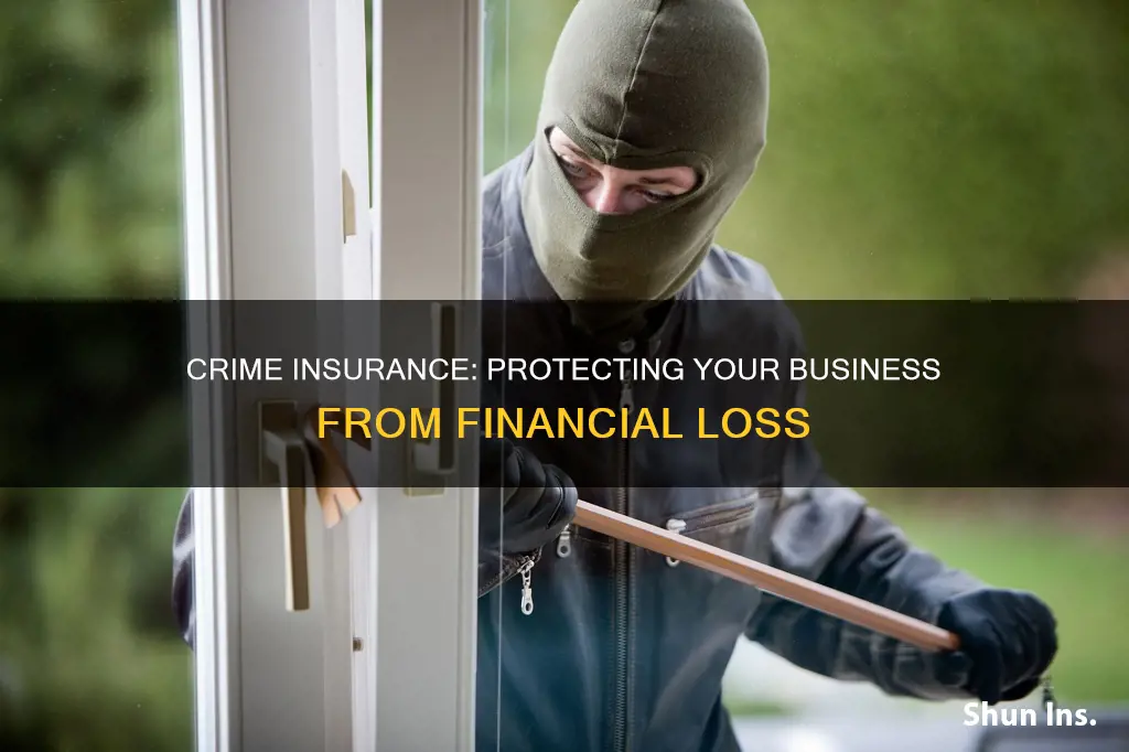 what is considered crime insurance