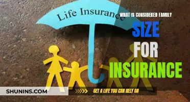 Family Size Insurance: Who Qualifies?