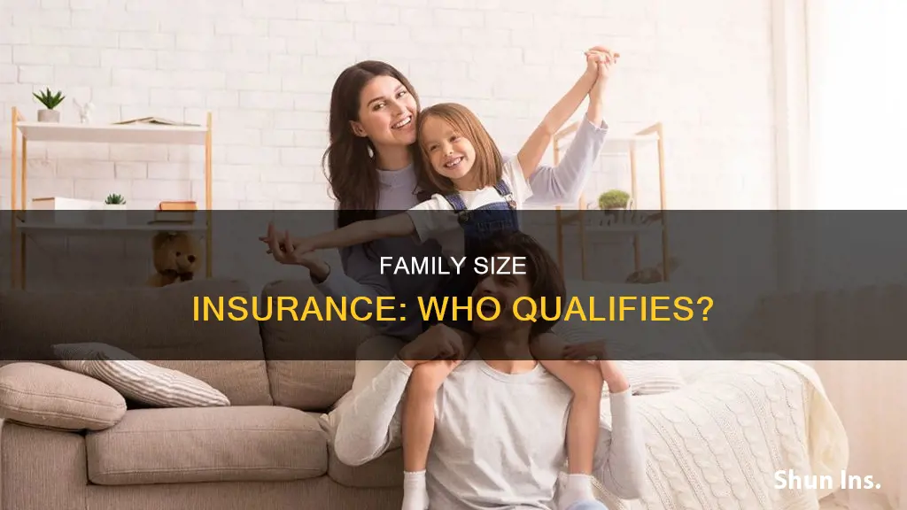 what is considered family size for insurance