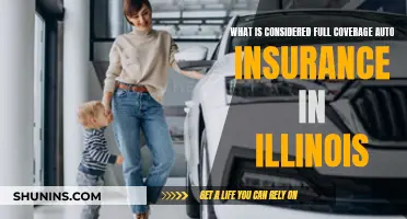 Full Coverage Auto Insurance: Illinois' Essential Requirements