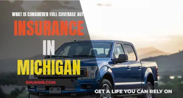 Full Auto Insurance Coverage: Michigan's Unique Requirements Explained