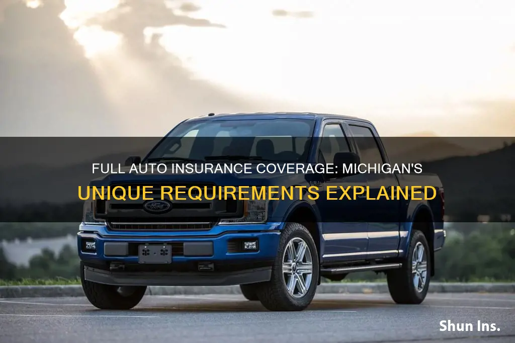 what is considered full coverage auto insurance in Michigan