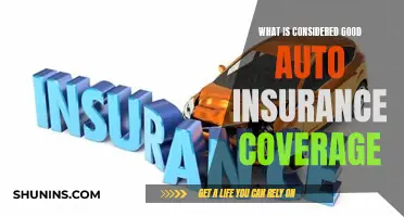 Auto Insurance Coverage: What's the Best Plan for You?