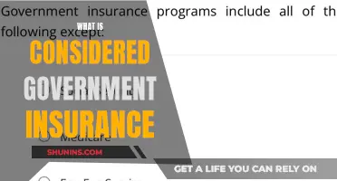 Government Insurance: What's Covered?