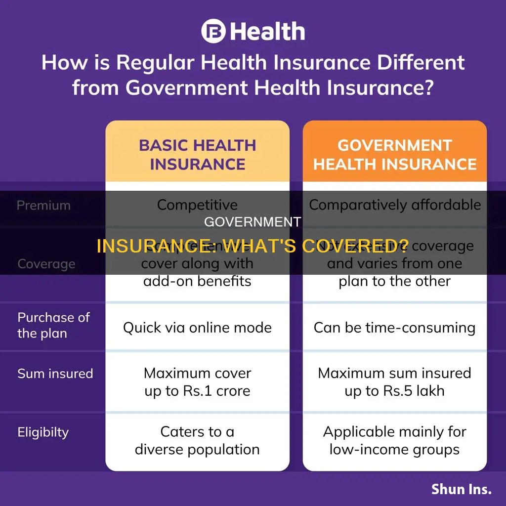 what is considered government insurance