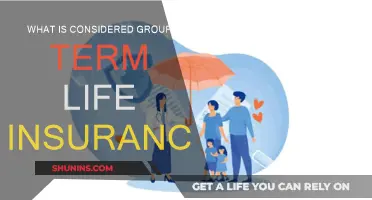 Understanding Group Term Life Insurance: What's Covered and For Whom?