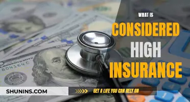 Insurance Highs: Understanding the Costs