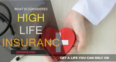 Life Insurance: Defining High Coverage Needs