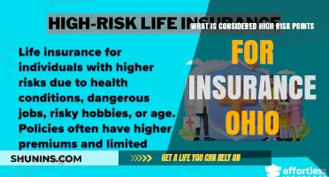 Ohio Insurance: High-Risk Factors and Points to Consider