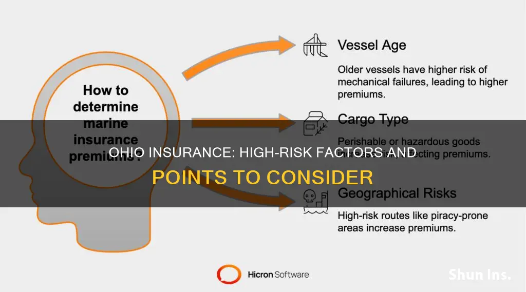 what is considered high risk points for insurance ohio