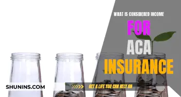 ACA Insurance: What Counts as Income?