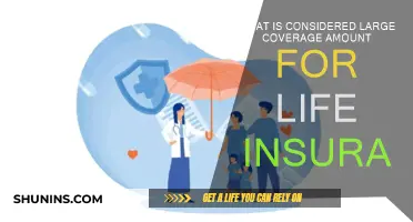 How Much Life Insurance Coverage is Too Much?