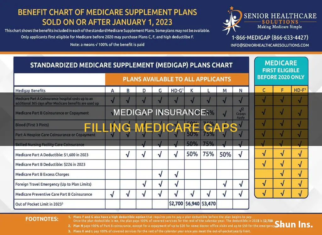 what is considered medigap insurance