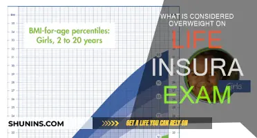 Life Insurance and Overweight: What's the Criteria?