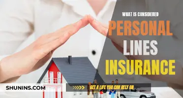 Personal Lines Insurance: What's Covered?