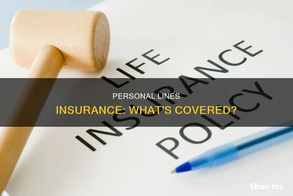 what is considered personal lines insurance