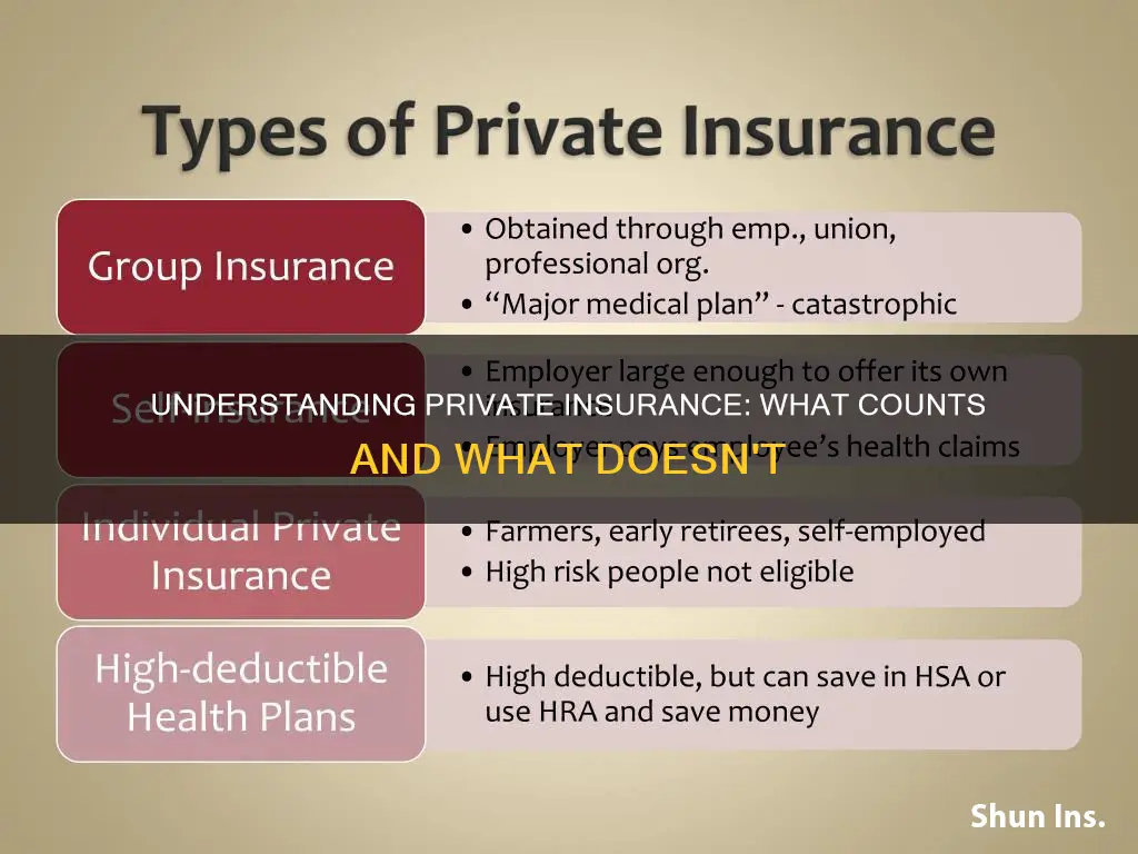 what is considered private insurance