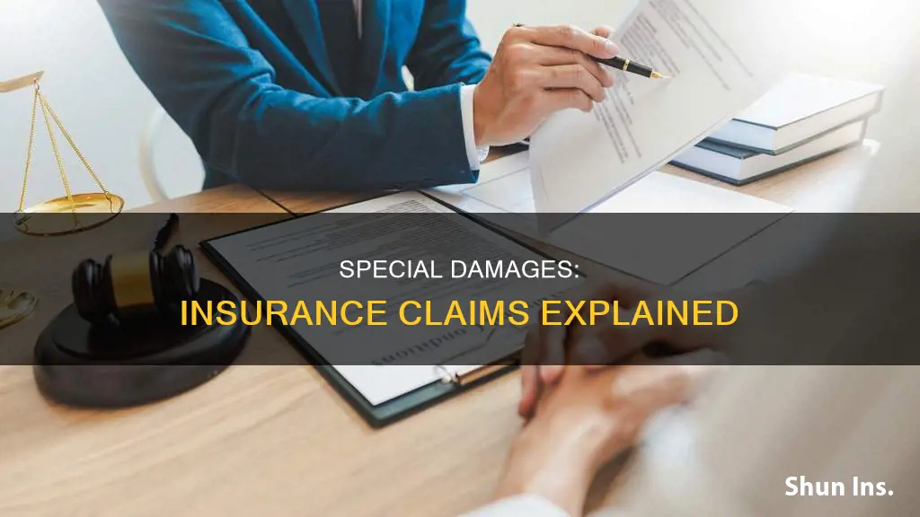 what is considered special damages in insurance