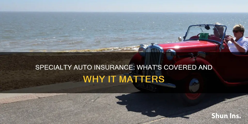 what is considered specialty auto insurance