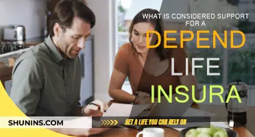 Understanding Dependent Support for Life Insurance Policies