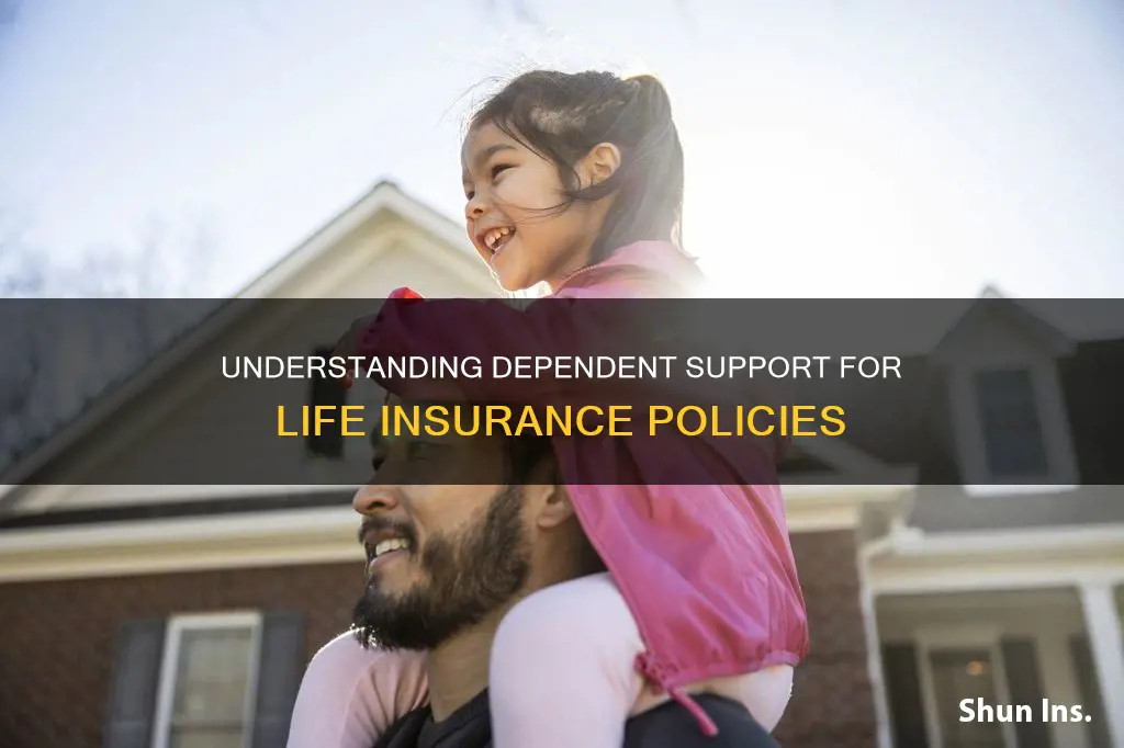 what is considered support for a dependent life insurance