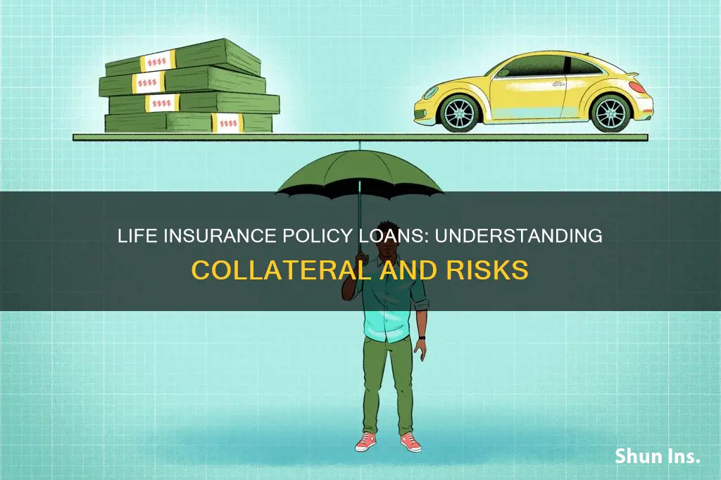 what is considered the collatreral on life insurance polciy loan