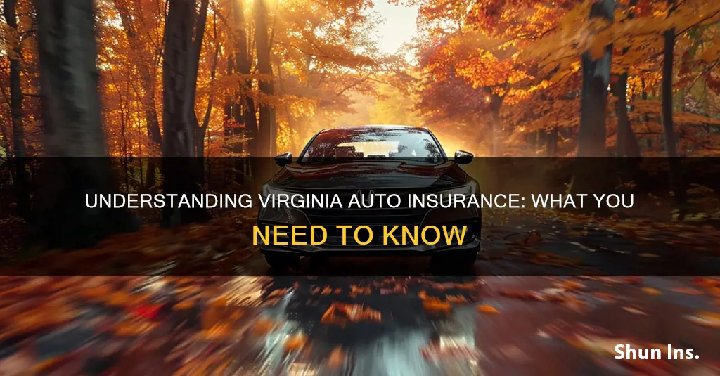 what is considered va auto insurance